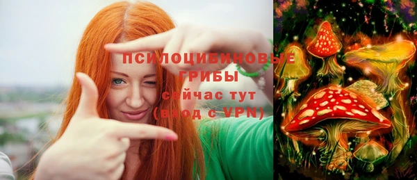 мяу мяу мука Инта